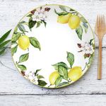 prato-raso-28cm-carmen-estampado